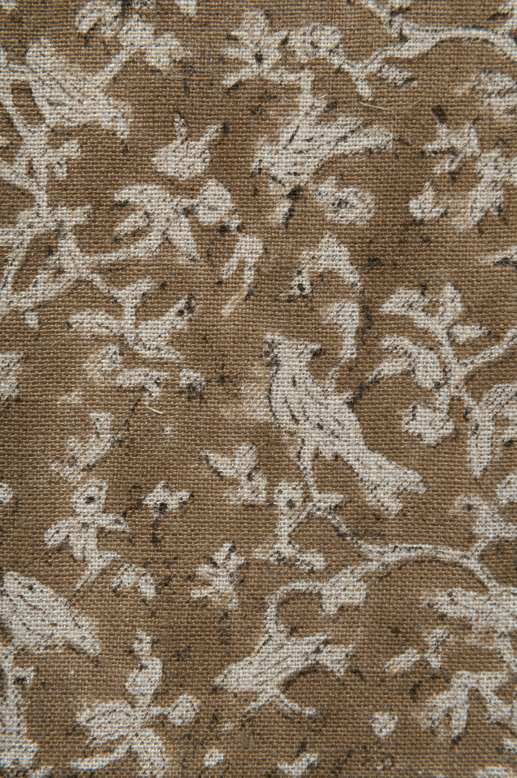 Fabric_11