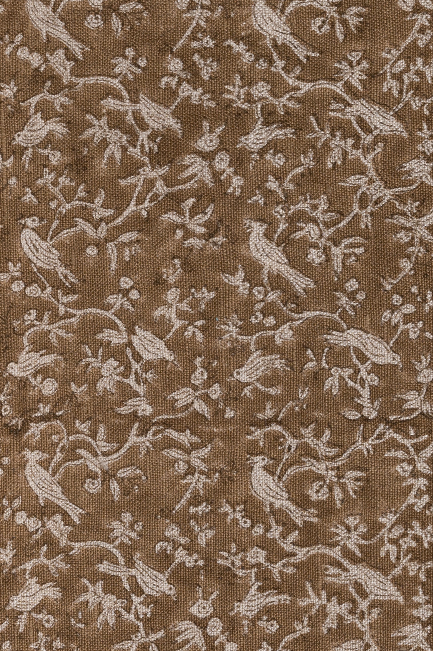 Fabric_11
